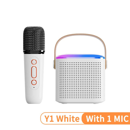 Portable Wireless Dual Microphone Karaoke Machine Bluetooth PA Speaker KTV DSP System HIFI Stereo Sound RGB Colorful LED Lights