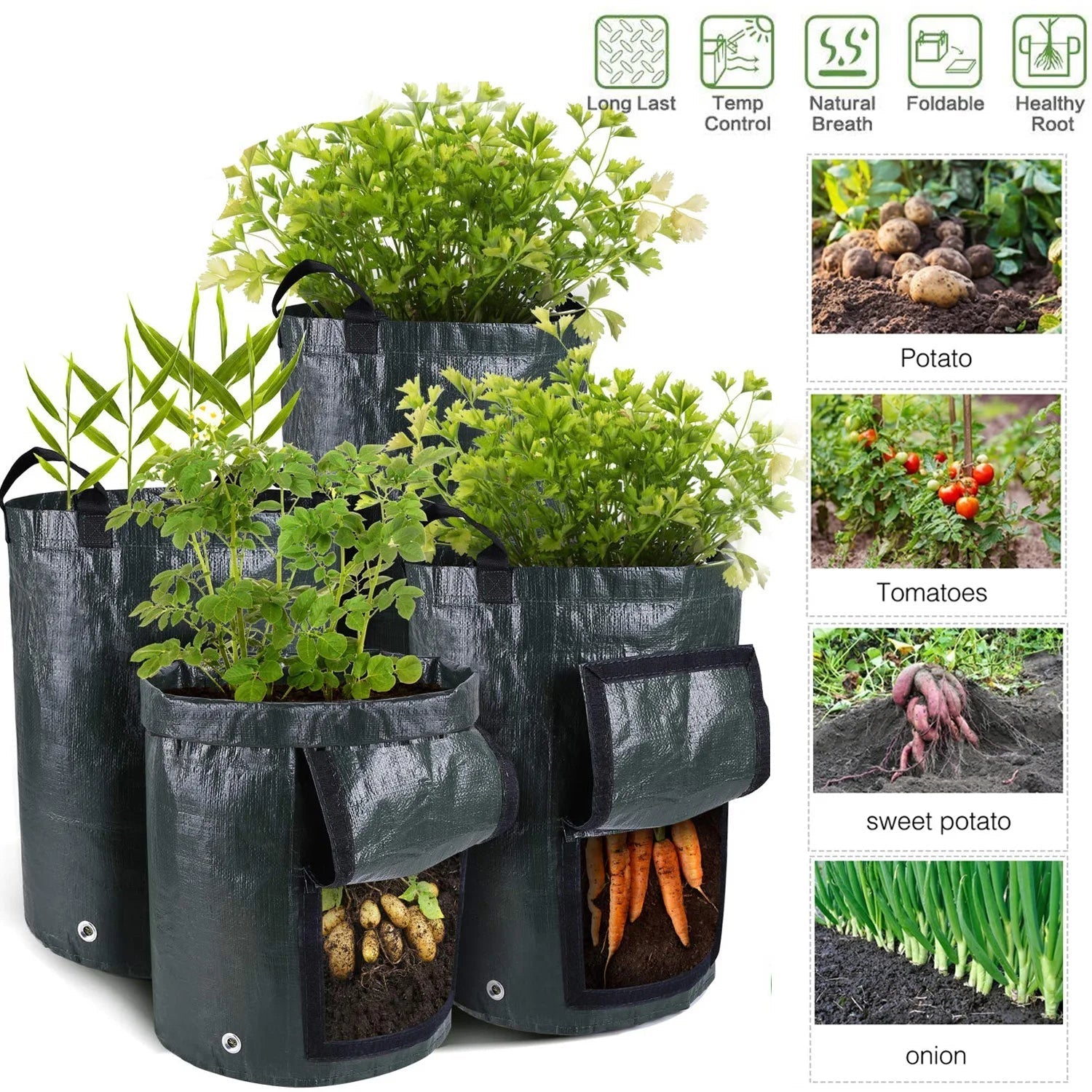Potatoes Grow Bags 3/5/10 Gallon Gardening Plant Growing Bags for Potato Tomato Carrot &amp; Other Vegetable Planter Container