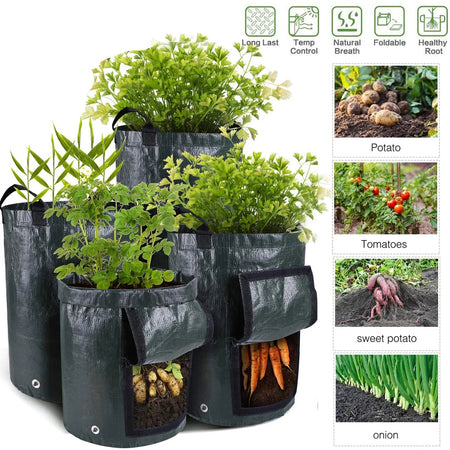 Potatoes Grow Bags 3/5/10 Gallon Gardening Plant Growing Bags for Potato Tomato Carrot &amp; Other Vegetable Planter Container