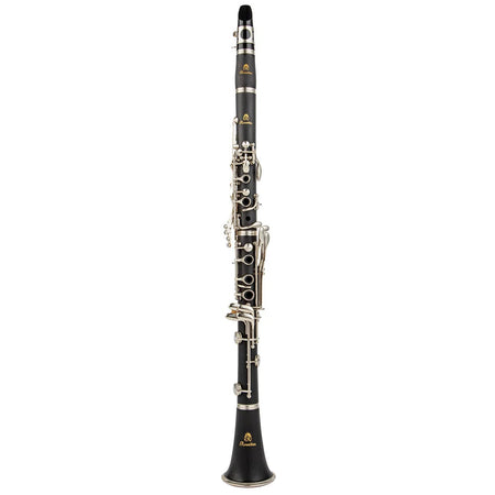 Rowtter 17 Key Falling Tune B Clarinet with ABS Body