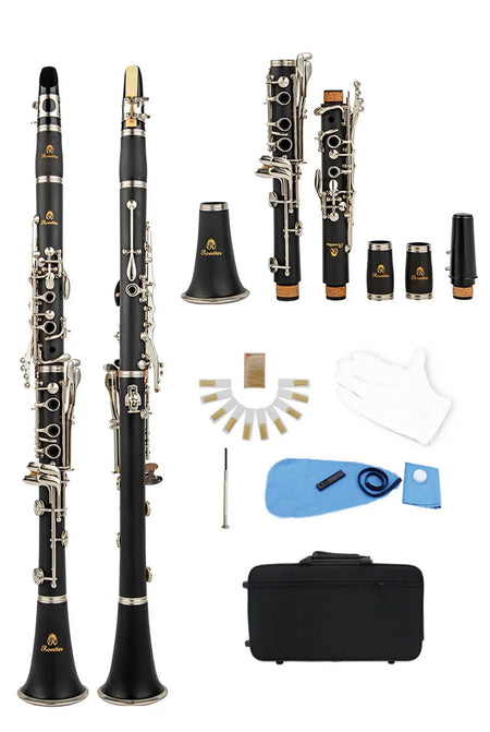 Rowtter 17 Key Falling Tune B Clarinet with ABS Body Nickel silver / CHINA