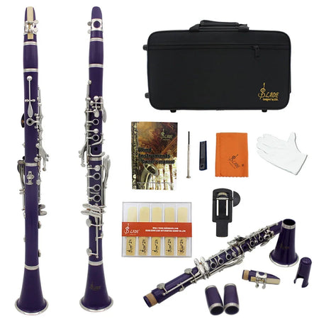 SLADE Professional 17-Key Bb Clarinet Set with Box - High-Quality Woodwind Instrument Purple / CHINA
