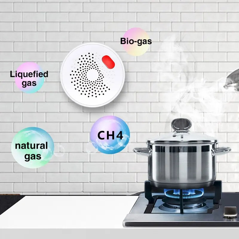 Smart Natural Gas Leak Detector with Wifi + Bluetooth Dual Mode - Protect Your Home
