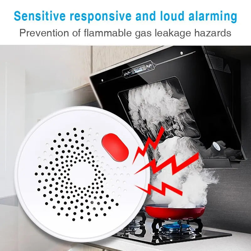 Smart Natural Gas Leak Detector with Wifi + Bluetooth Dual Mode - Protect Your Home