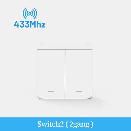 Wireless Smart Wall Light Switch with Remote Control - RF433mhz LED Switch 2 Switch / CHINA