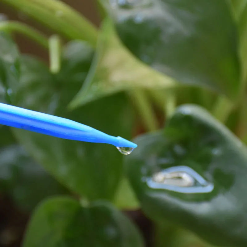 ZWDZJL 4L 8L Drip Irrigation System with 4-Way Arrow Drip Emitter