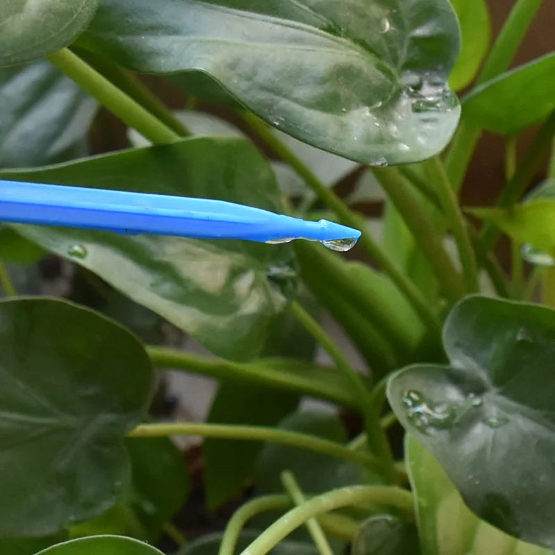 ZWDZJL 4L 8L Drip Irrigation System with 4-Way Arrow Drip Emitter