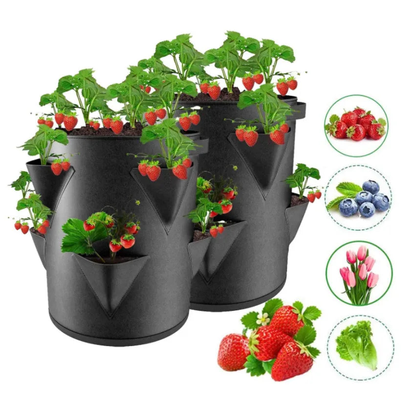🟠 Spring Strawberry растущая сумка для овощной посадки для растущей горшечной заводы 5/7/10-дат пакеты садовая терраса